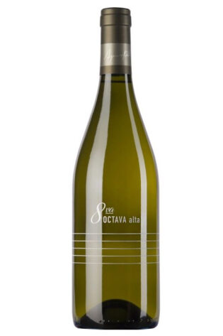 Marcelo Pelleriti Octava Alta Blanc de Blanc 2016