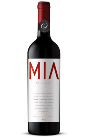 Vik Mia Millahue 2018