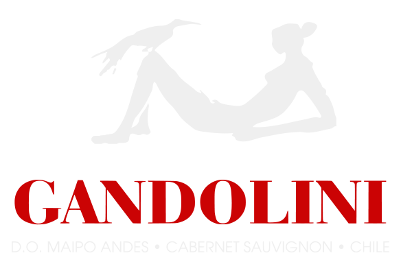 Gandolini-logo